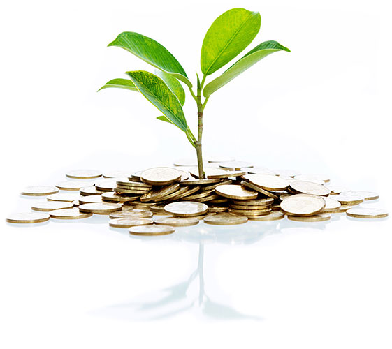 Image of a plant sprouting out of coins